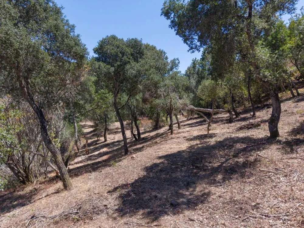 13 Rancho El Robledo Carmel Valley, CA 93924