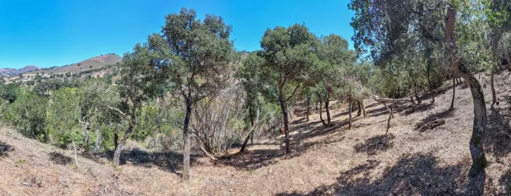 13 Rancho El Robledo Carmel Valley, CA 93924
