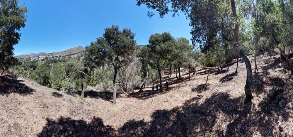 13 Rancho El Robledo Carmel Valley, CA 93924