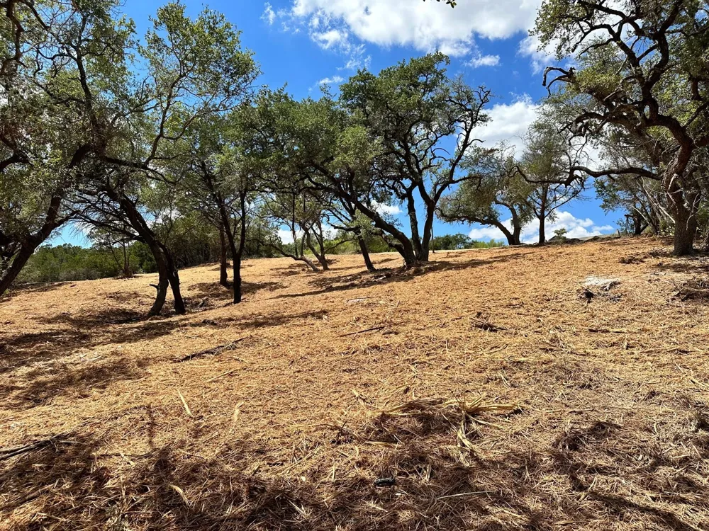 2120 Passare New Braunfels, TX 78132