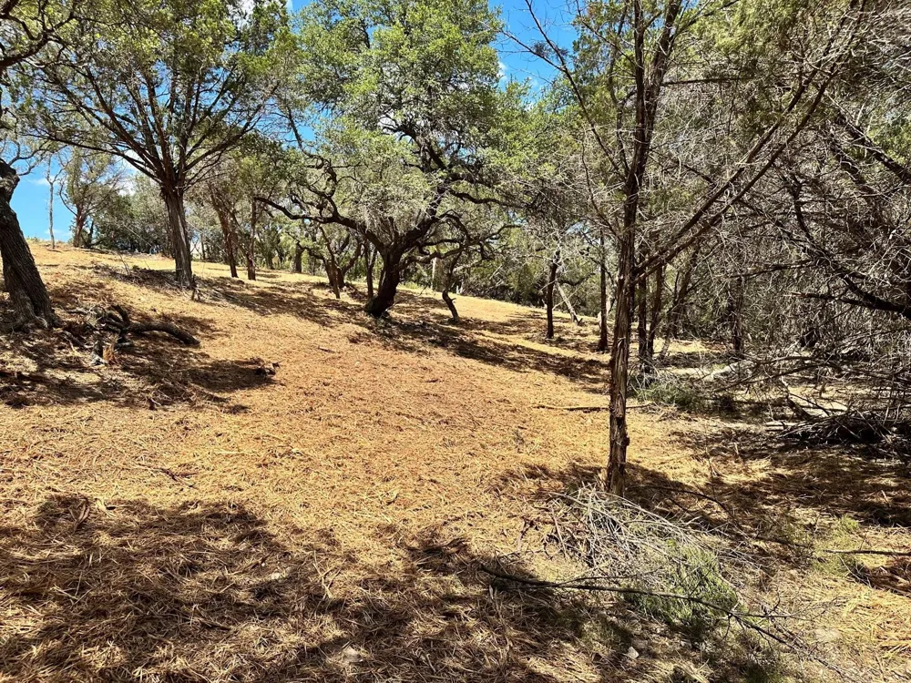 2120 Passare New Braunfels, TX 78132