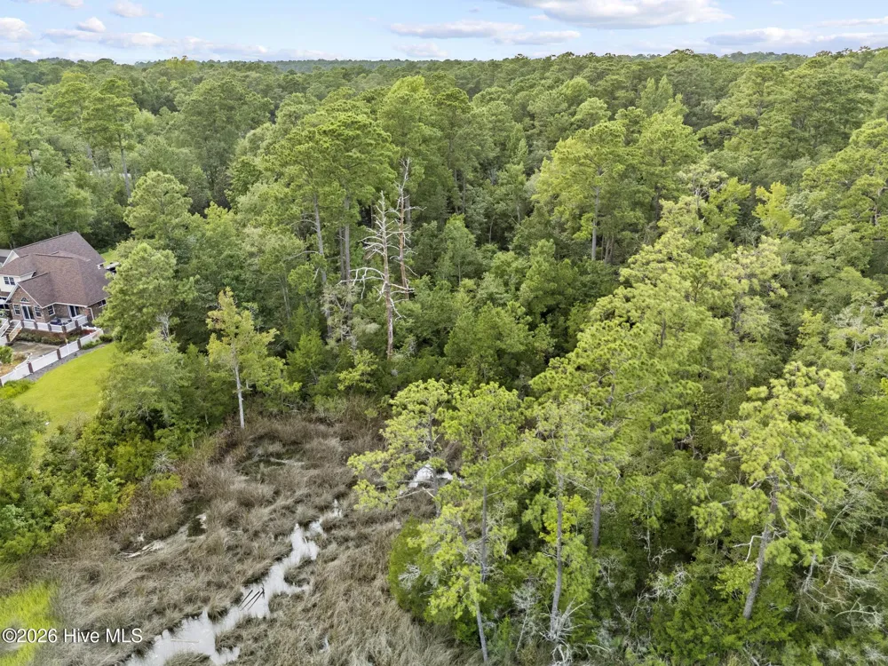 276 White Oak Bluff Road Stella, NC 28582