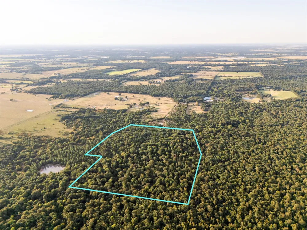 Farm to Market 197 Arthur City, TX 75411
