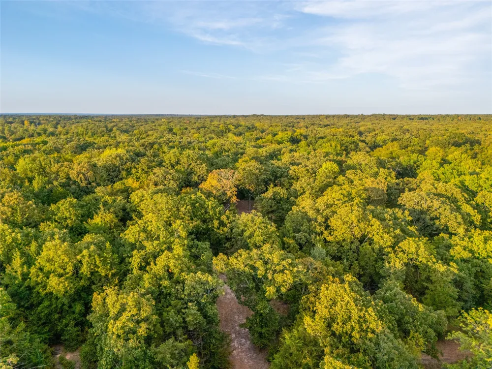Farm to Market 197 Arthur City, TX 75411