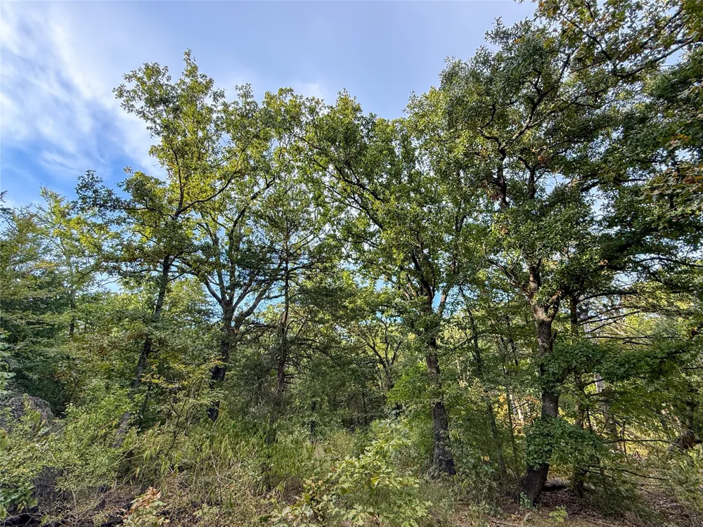 Farm to Market 197 Arthur City, TX 75411