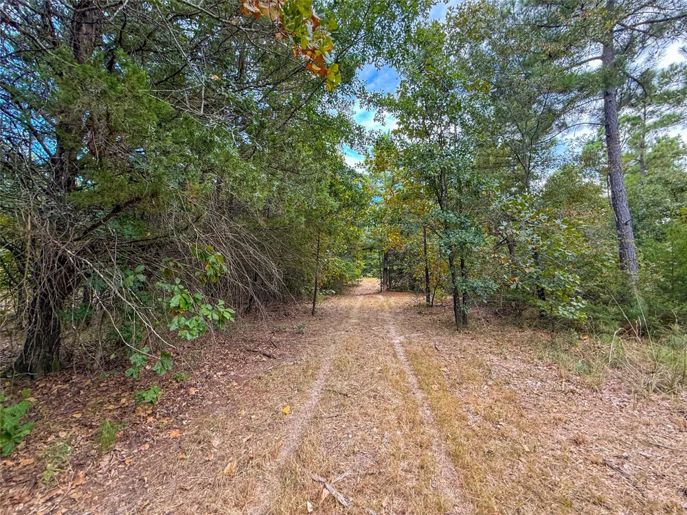 Farm to Market 197 Arthur City, TX 75411