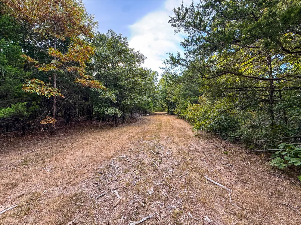 Farm to Market 197 Arthur City, TX 75411