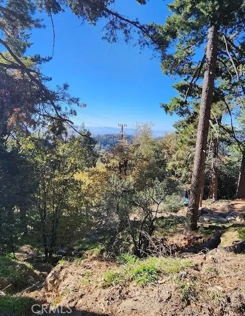 900 Lo Lane Twin Peaks, CA 92391