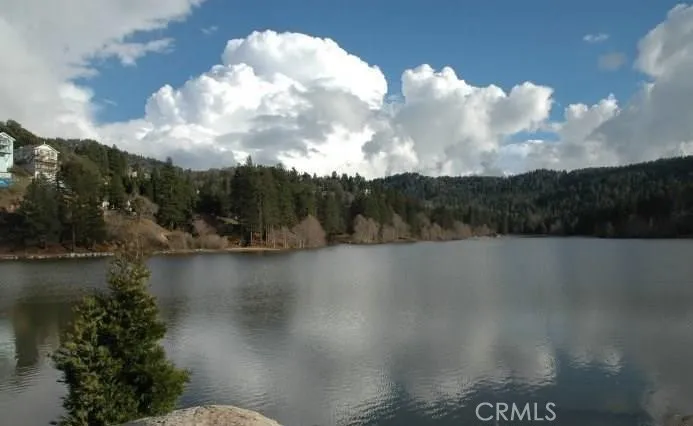900 Lo Lane Twin Peaks, CA 92391
