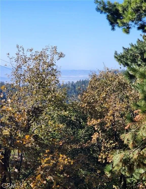 900 Lo Lane Twin Peaks, CA 92391