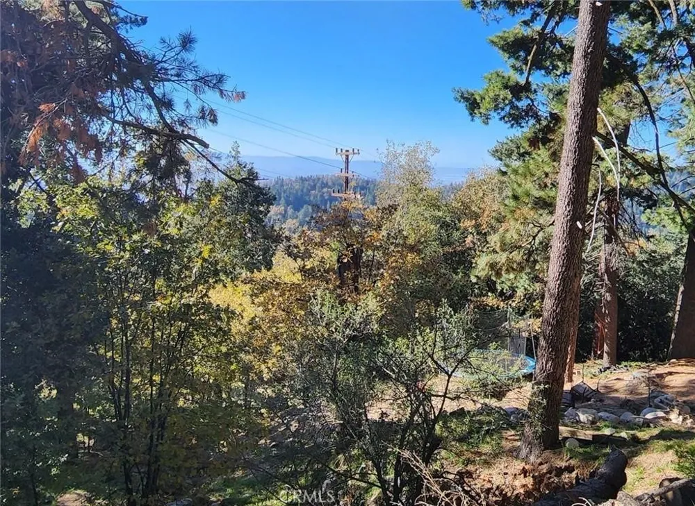 900 Lo Lane Twin Peaks, CA 92391