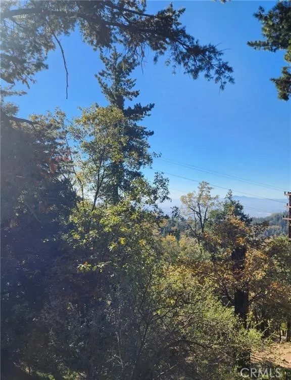 900 Lo Lane Twin Peaks, CA 92391