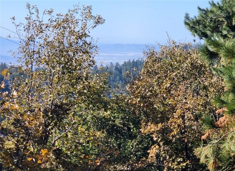 900 Lo Lane Twin Peaks, CA 92391