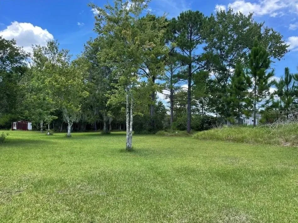 1146 BELVEDERE ROAD Orlando, FL 32820