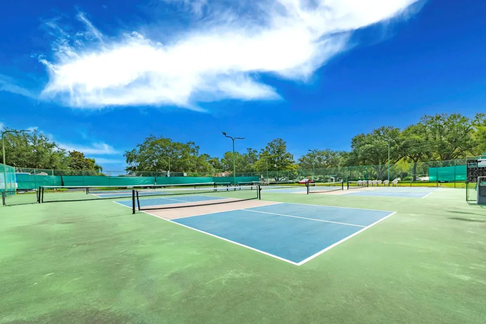 1024 SAINT IVES COURT Mount Dora, FL 32757
