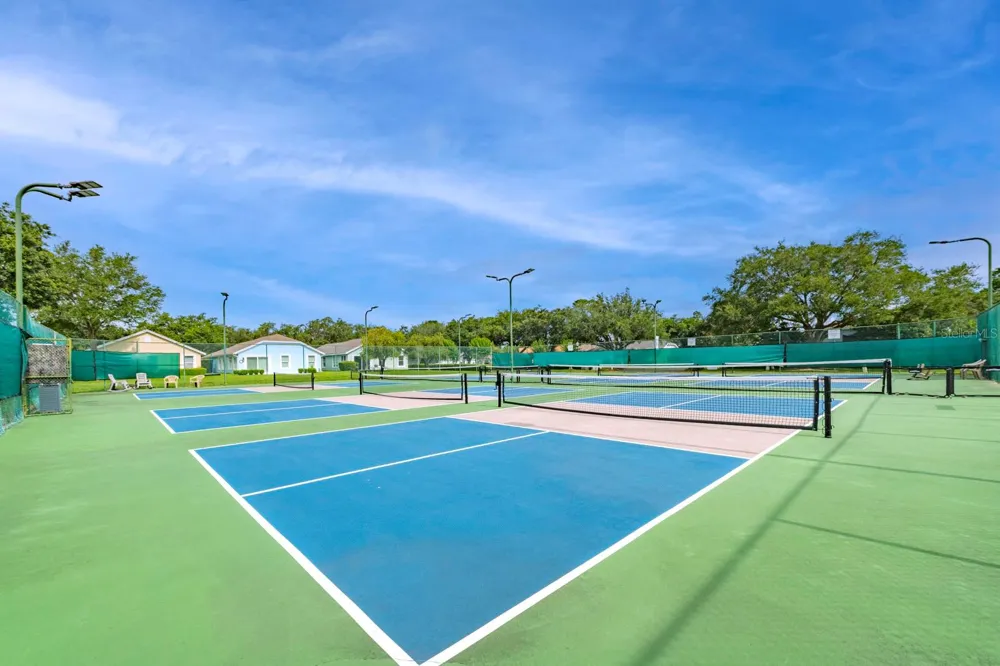1024 SAINT IVES COURT Mount Dora, FL 32757
