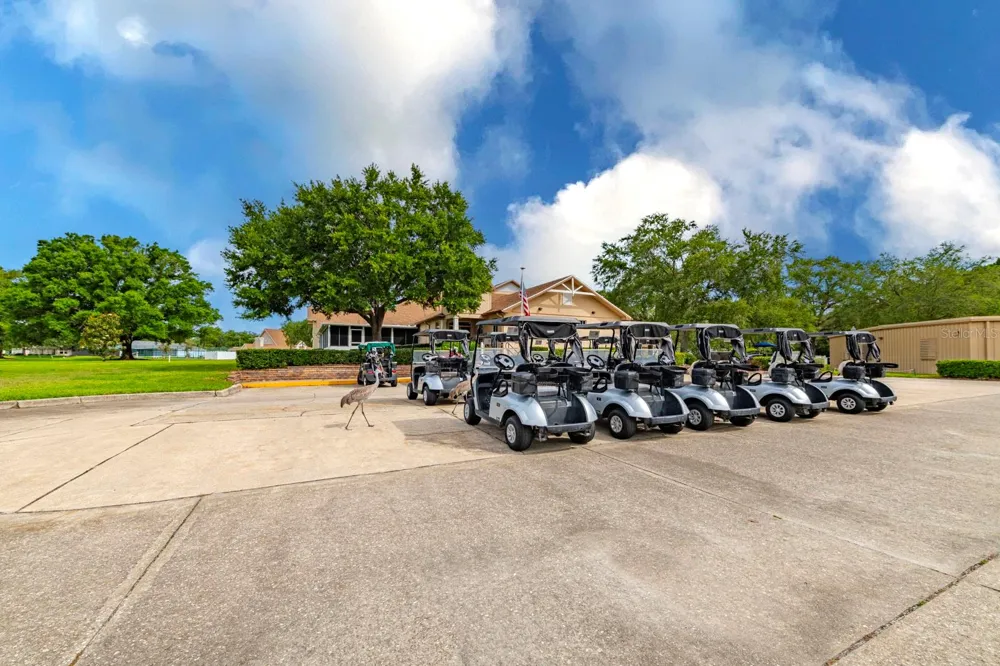 1024 SAINT IVES COURT Mount Dora, FL 32757
