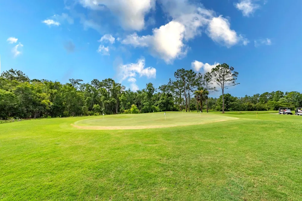 1024 SAINT IVES COURT Mount Dora, FL 32757