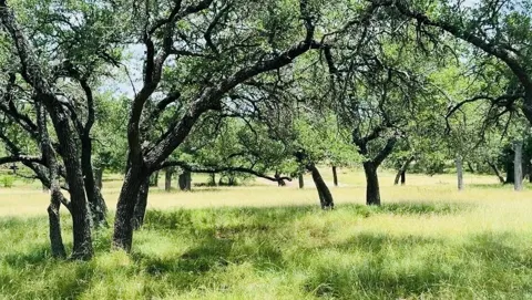 Swiss Ranch Rd