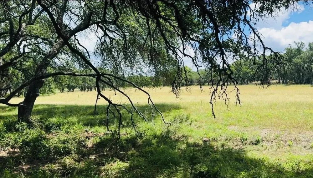 Swiss Ranch Rd Round Mountain, TX 78663