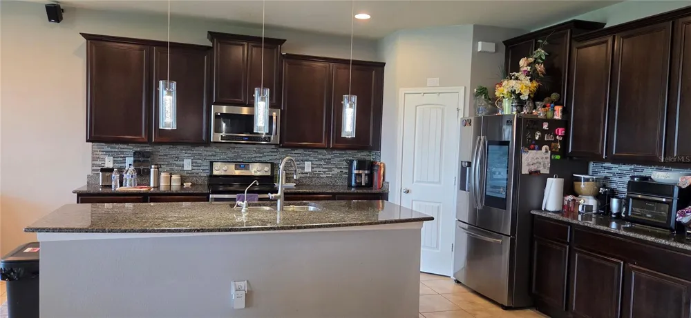 9215 MOUNTAIN MAGNOLIA DRIVE Riverview, FL 33578