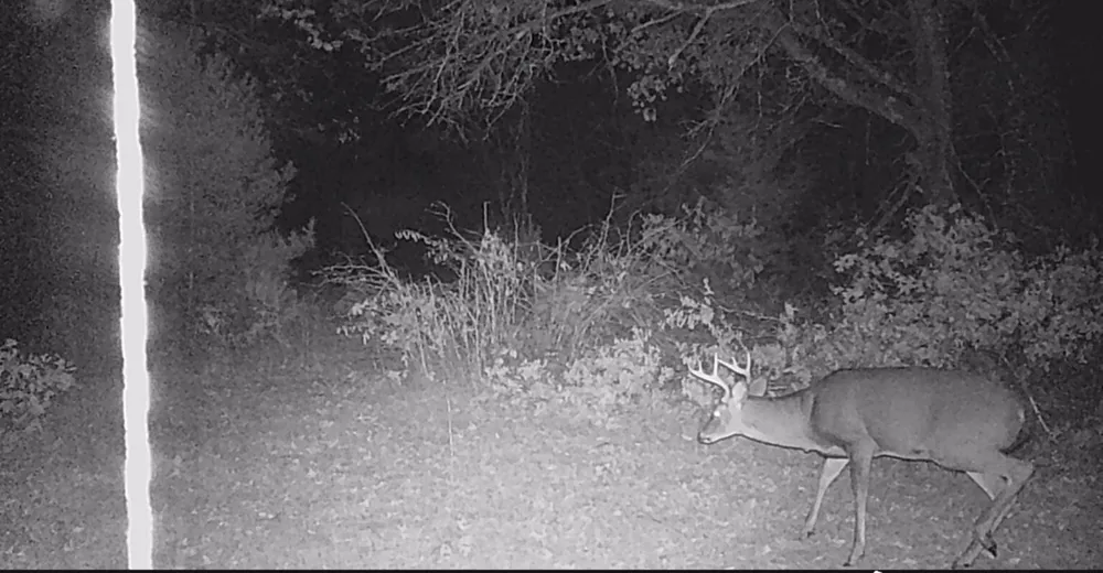 4393 E 8th Street Everett Township, MI 49349