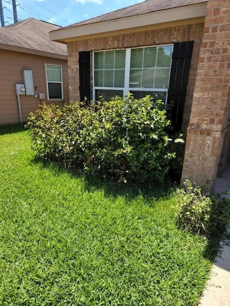 2005 Lost Pine Court Conroe, TX 77304