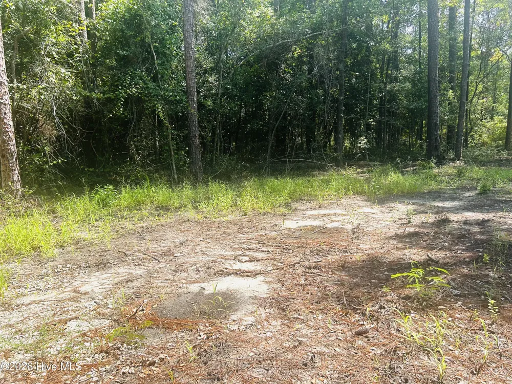 679 Westwind Drive SW Supply, NC 28462