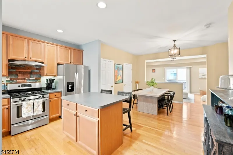 29 Riga Ct Scotch Plains, NJ 07076