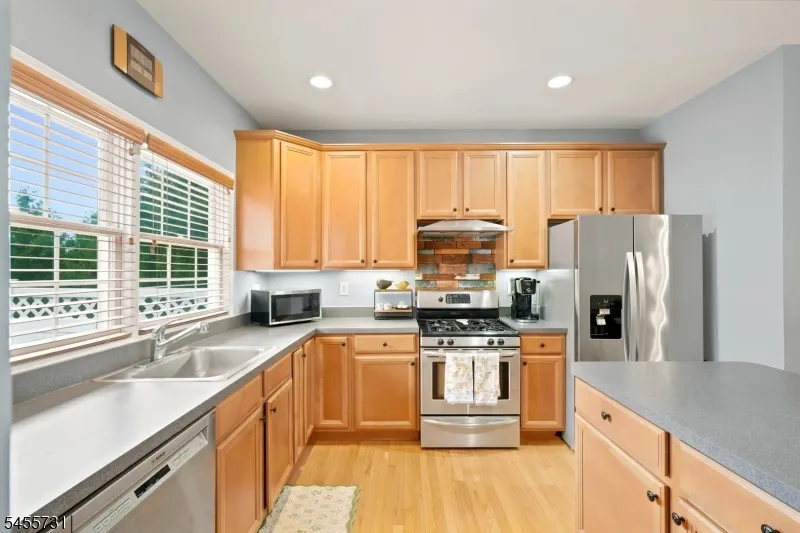 29 Riga Ct Scotch Plains, NJ 07076