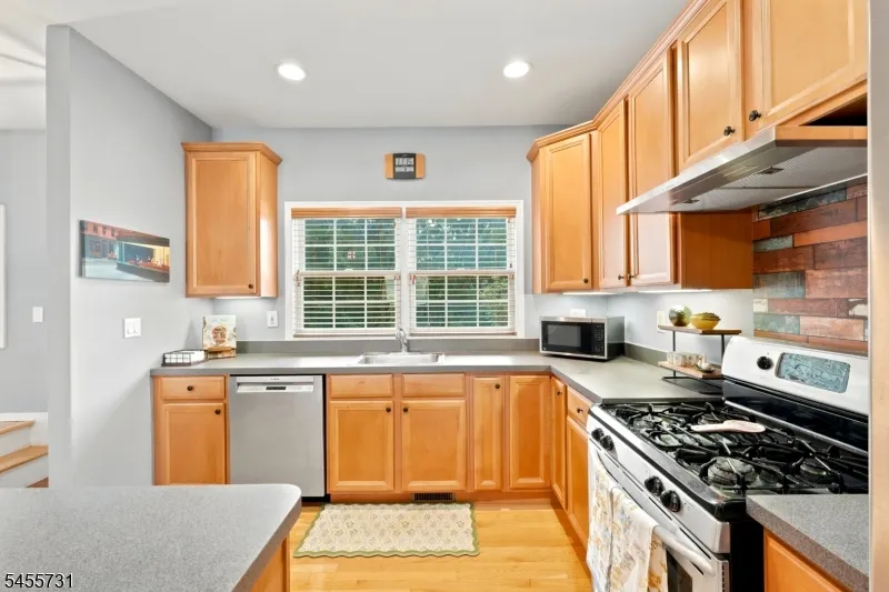 29 Riga Ct Scotch Plains, NJ 07076