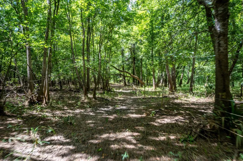 Private Road 1425 Centerville, TX 75833