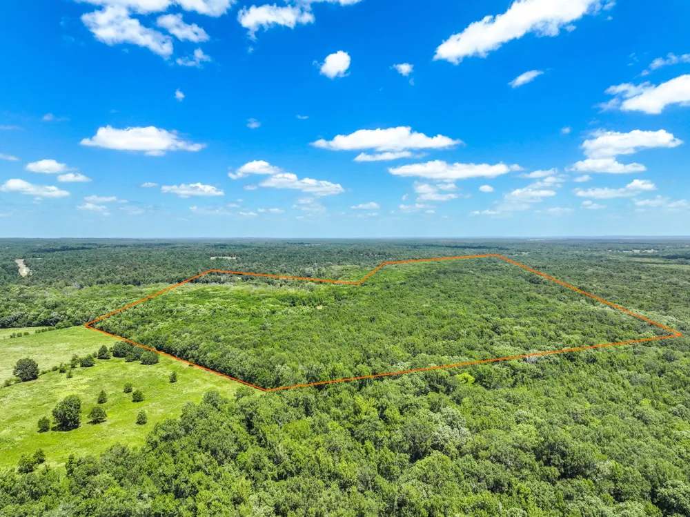 Private Road 1425 Centerville, TX 75833