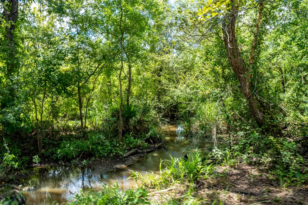 Private Road 1425 Centerville, TX 75833
