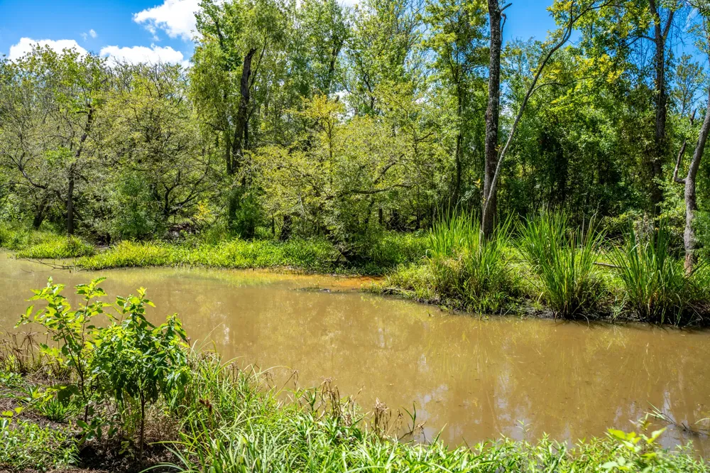 Private Road 1425 Centerville, TX 75833