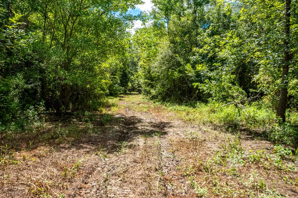 Private Road 1425 Centerville, TX 75833