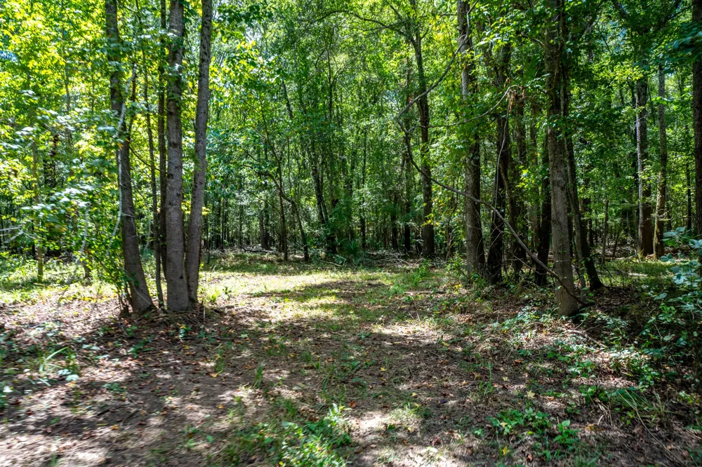 Private Road 1425 Centerville, TX 75833