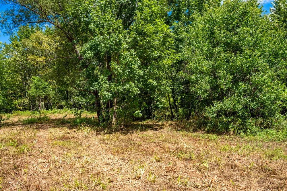 Private Road 1425 Centerville, TX 75833