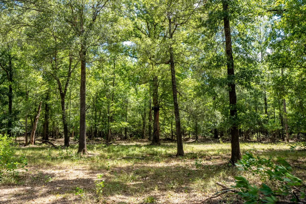 Private Road 1425 Centerville, TX 75833