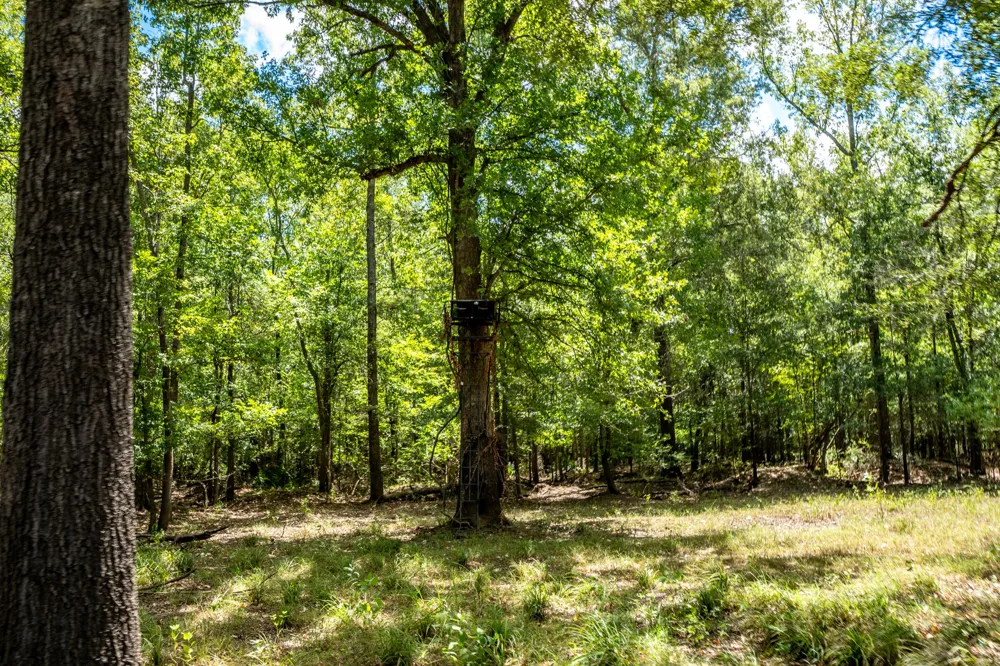 Private Road 1425 Centerville, TX 75833