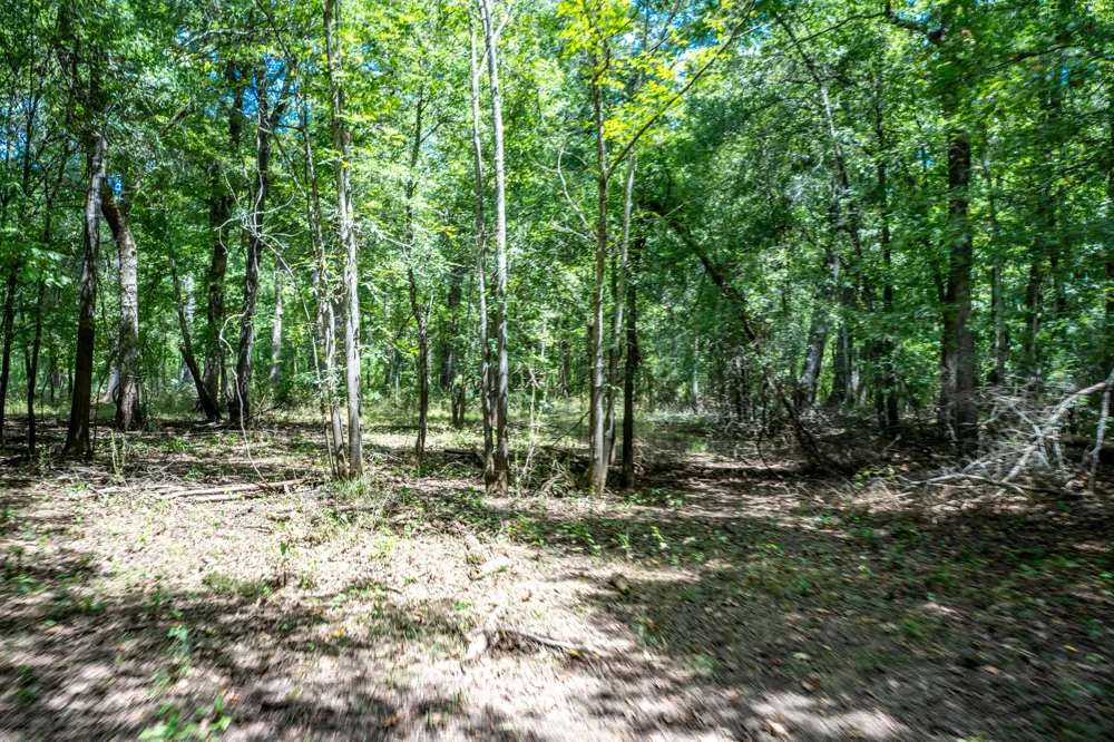 Private Road 1425 Centerville, TX 75833