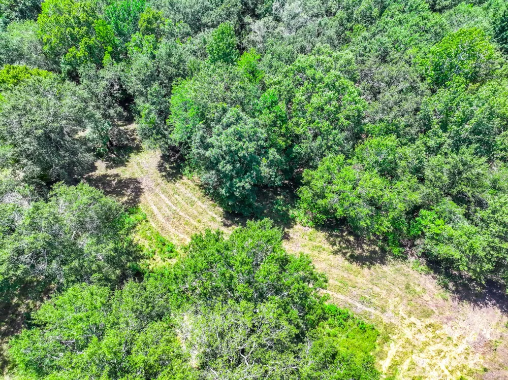 Private Road 1425 Centerville, TX 75833