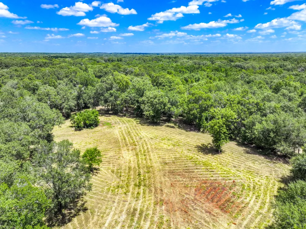 Private Road 1425 Centerville, TX 75833