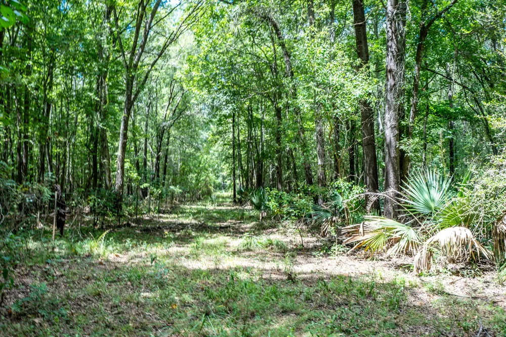 Private Road 1425 Centerville, TX 75833