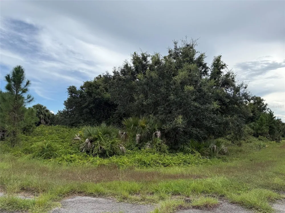 Lot 1 GASKINS CIRCLE North Port, FL 34288