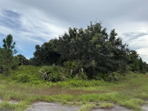 Lot 1 GASKINS CIRCLE