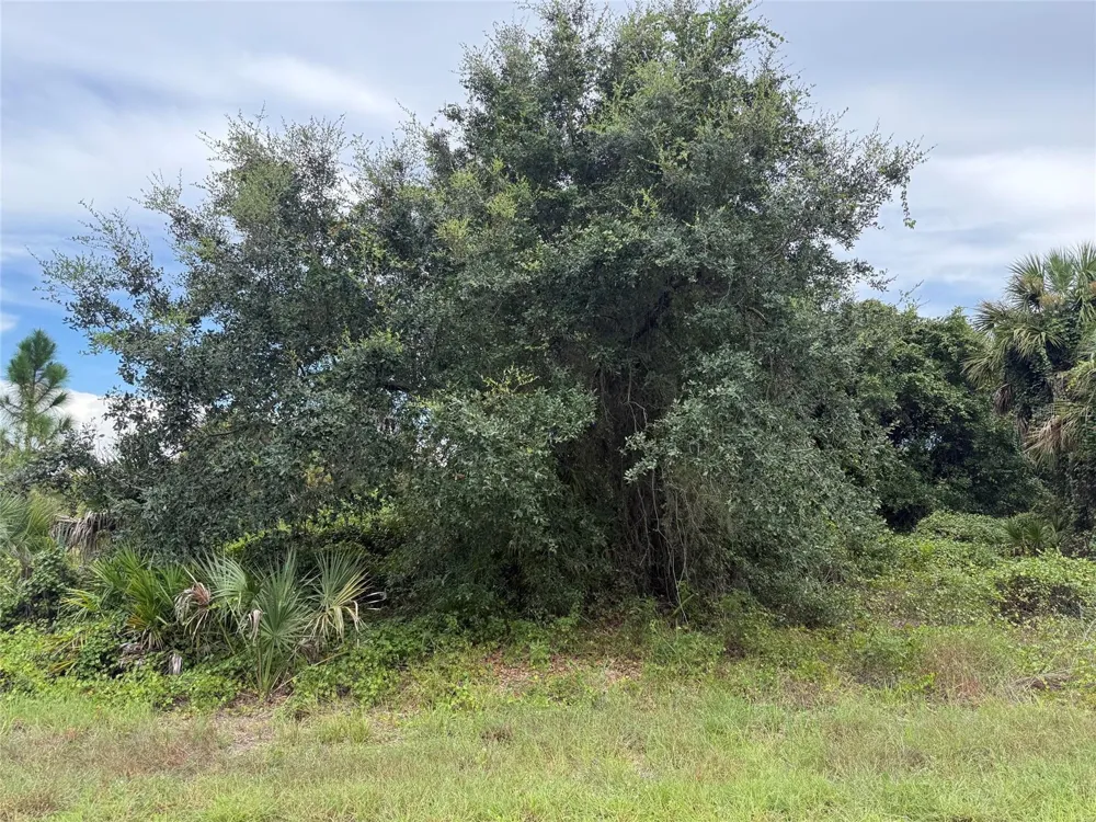 Lot 1 GASKINS CIRCLE North Port, FL 34288