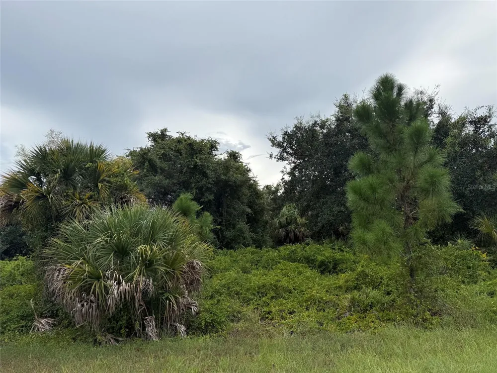 Lot 1 GASKINS CIRCLE North Port, FL 34288