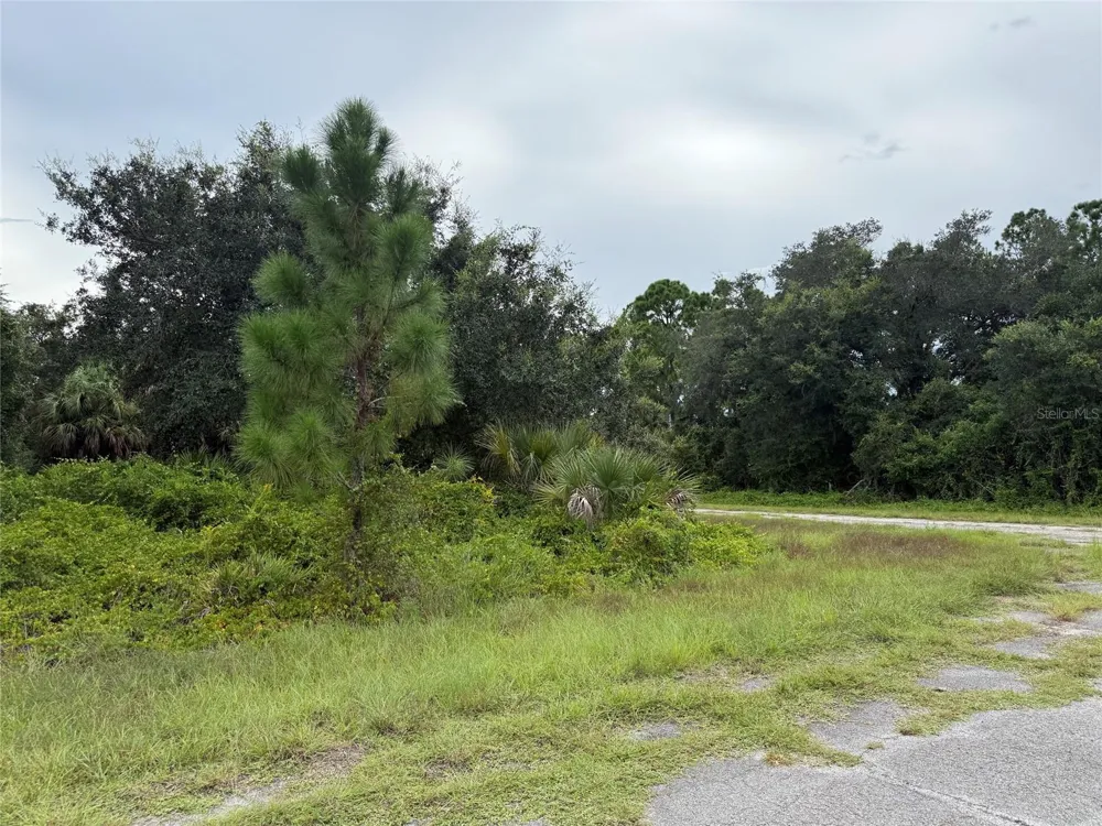 Lot 1 GASKINS CIRCLE North Port, FL 34288