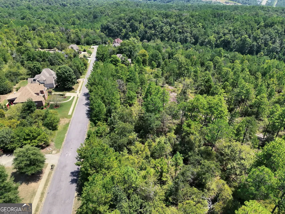 1016 Sterling Lakes CIR Helena, AL 35022